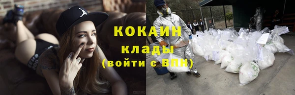 стаф Тихвин