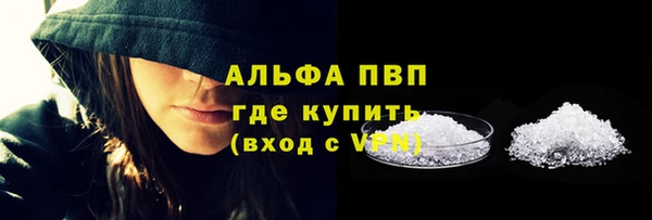 крисы Осташков