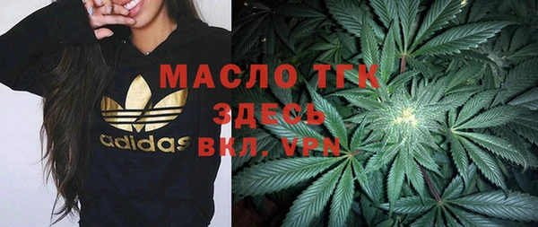 прущие грибы Няндома