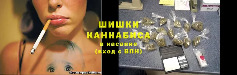 Бошки марихуана Bruce Banner  Макушино 